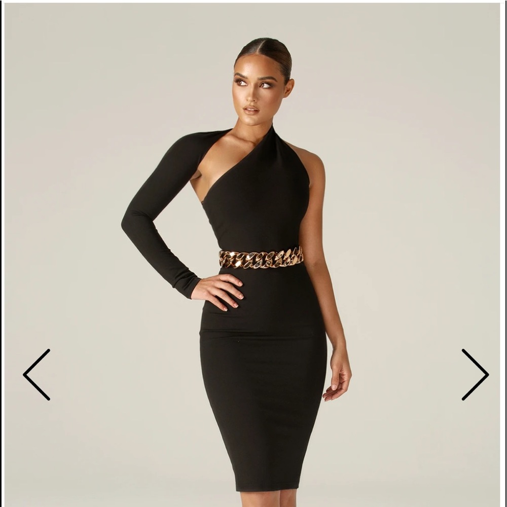NWT Dasha Modern Dress by Alieva